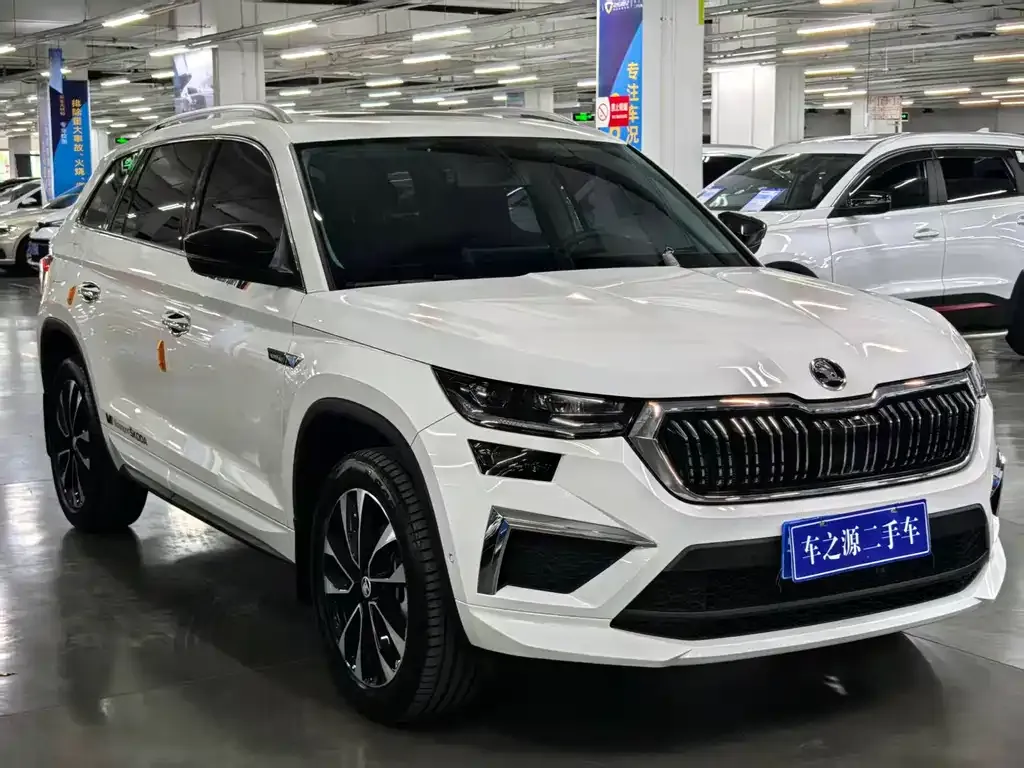 Skoda Kodiaq 2024 из CN, фото 3