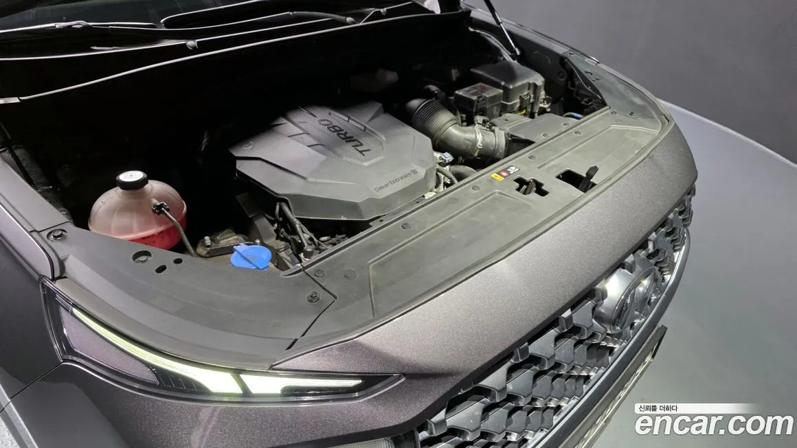 Hyundai Santafe 2021 из KR, фото 6