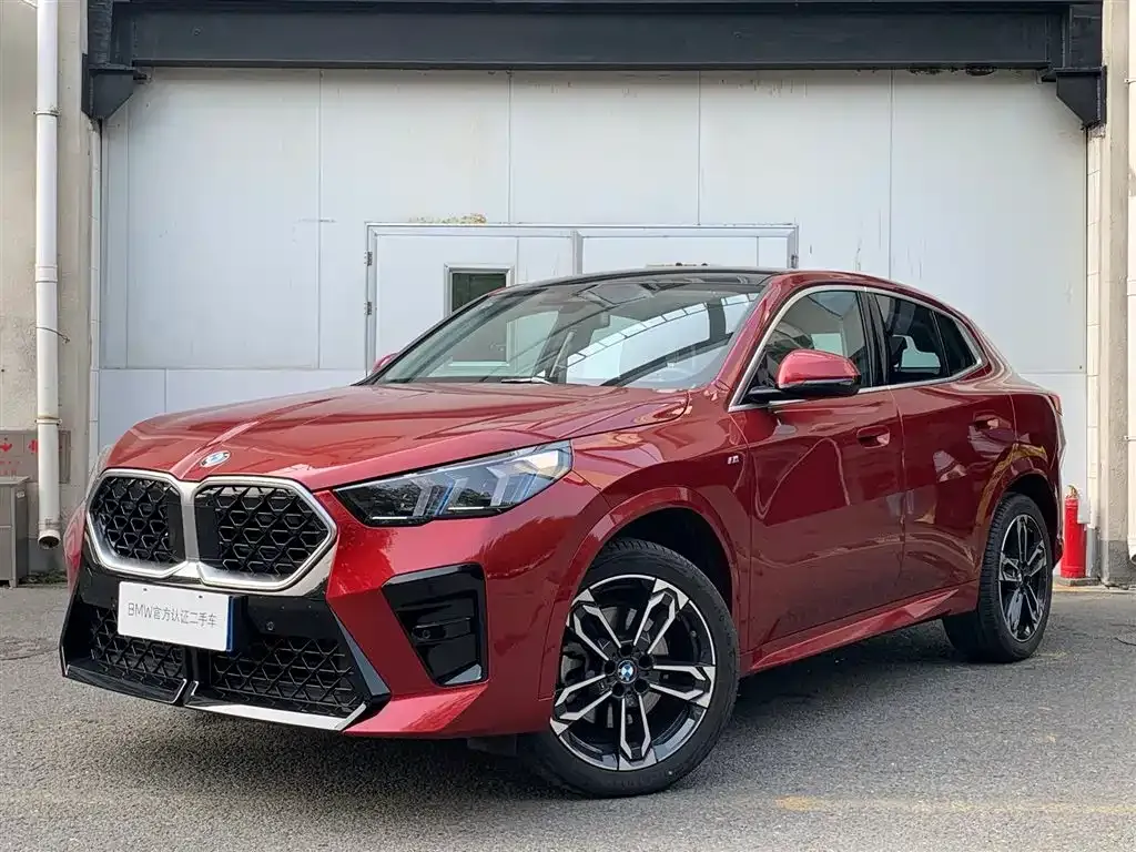 BMW X2 (Import) — фото 1