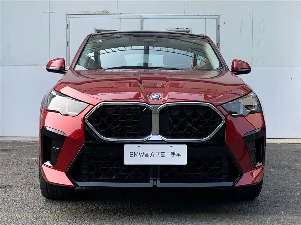 BMW X2 (Import) — фото 2