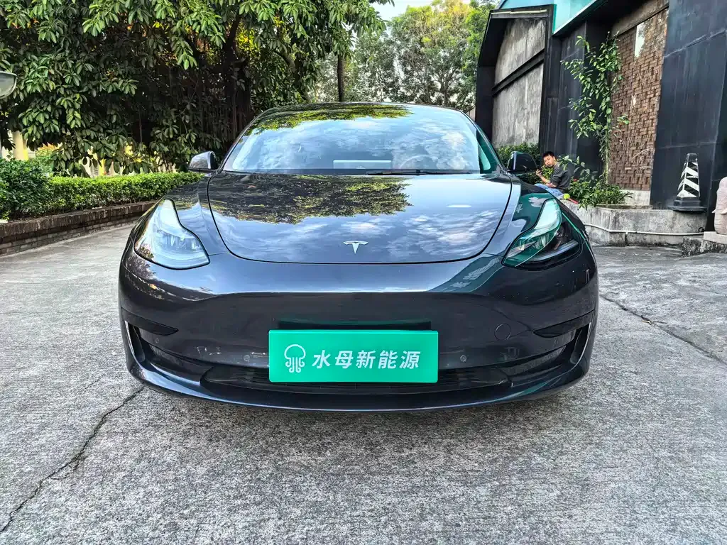 Tesla Model 3 2022 из CN, фото 2