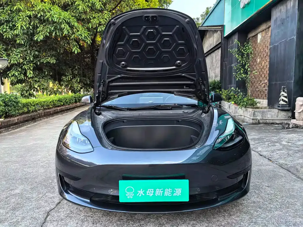 Tesla Model 3 2022 из CN, фото 8