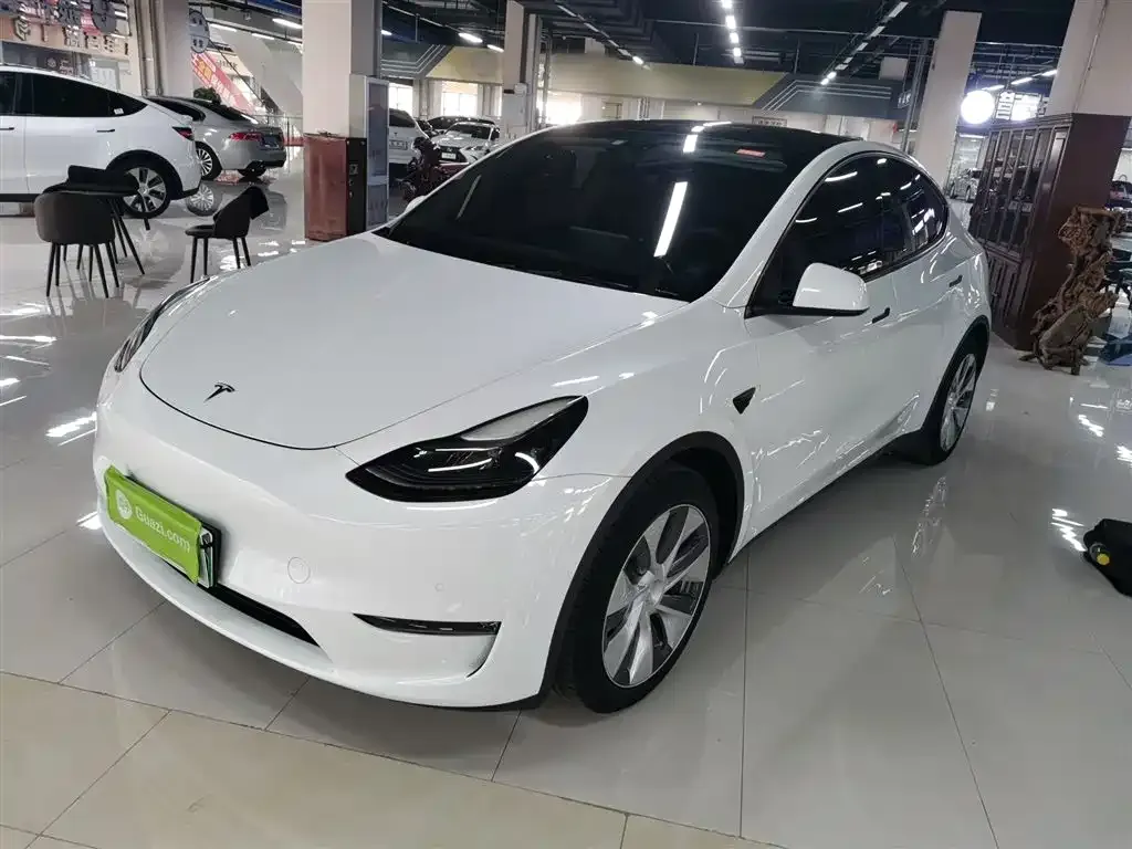 Tesla Model Y — фото 2