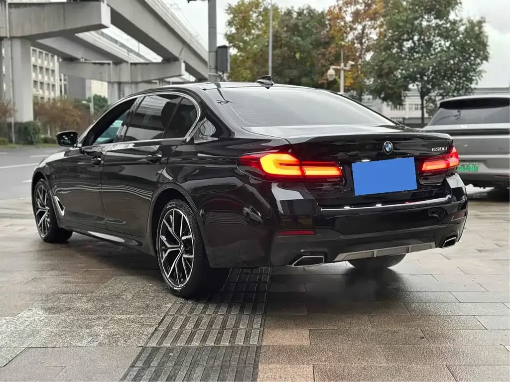 BMW 5 Series 2022 из CN, фото 3