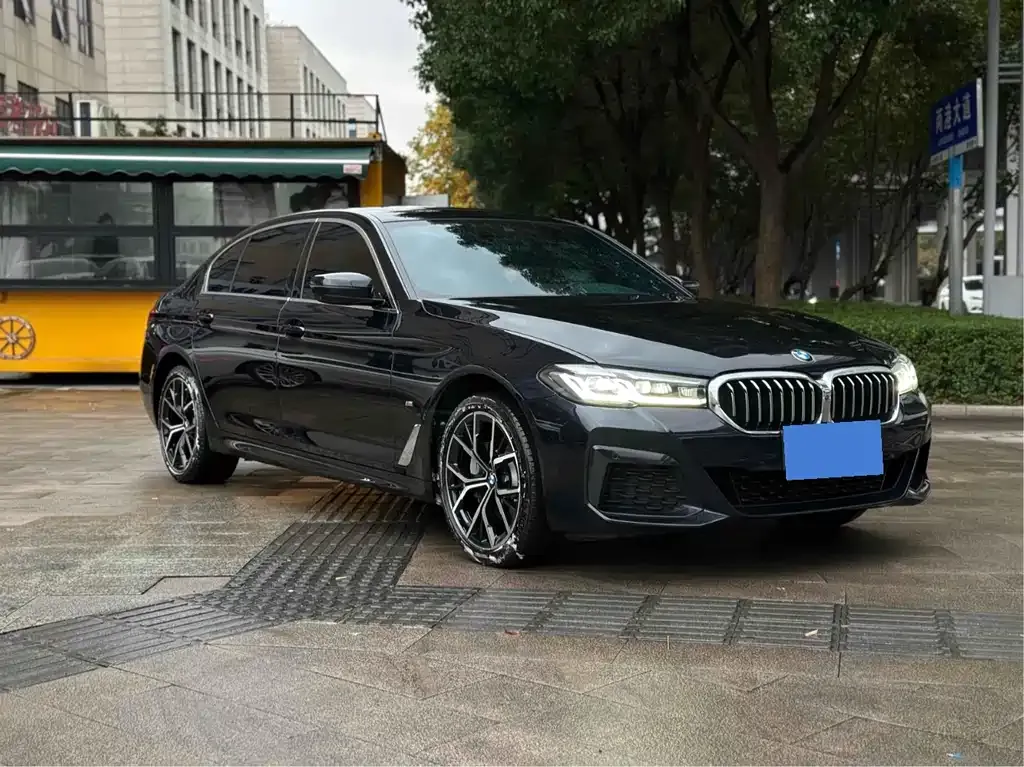 BMW 5 Series 2022 из CN, фото 4