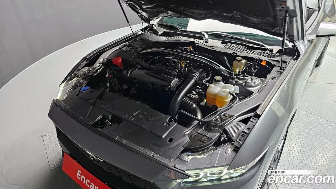 Ford Mustang 2024 из KR, фото 6