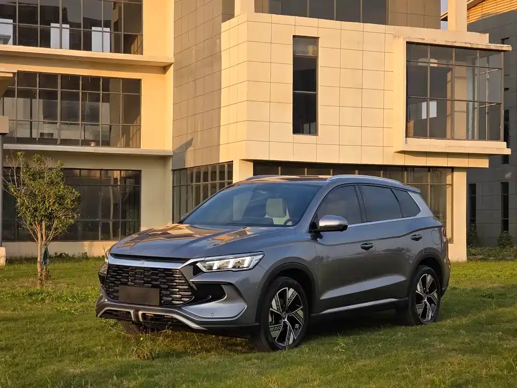 BYD Pro New Energy 2023 из CN, фото 1