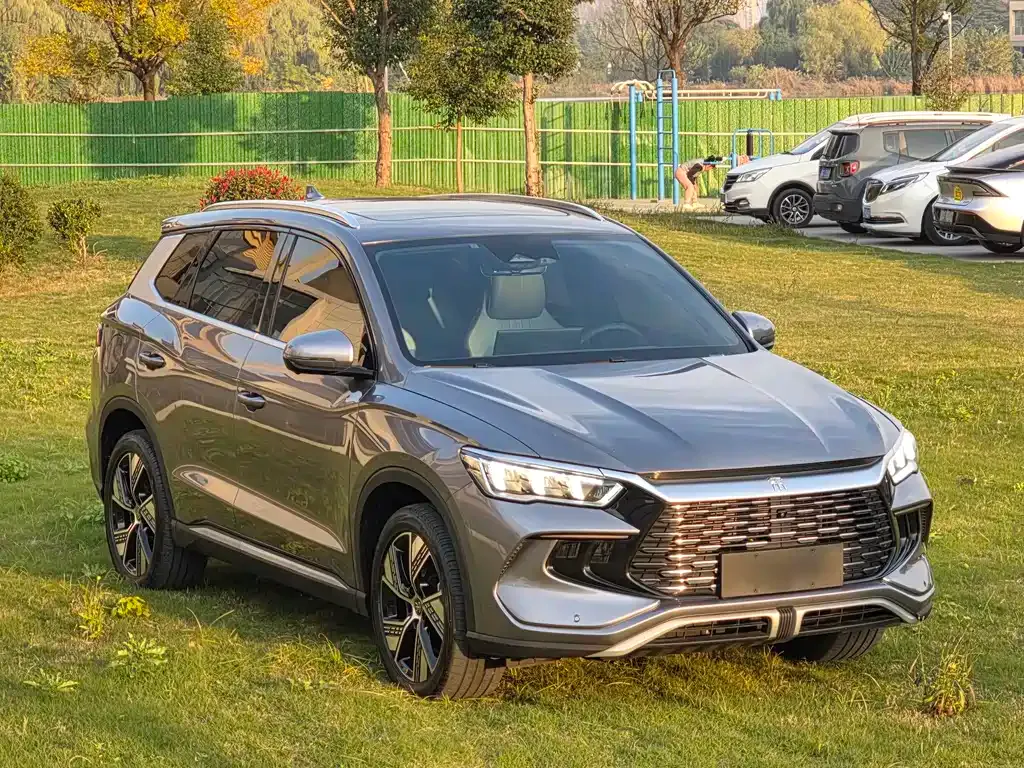BYD Pro New Energy 2023 из CN, фото 3