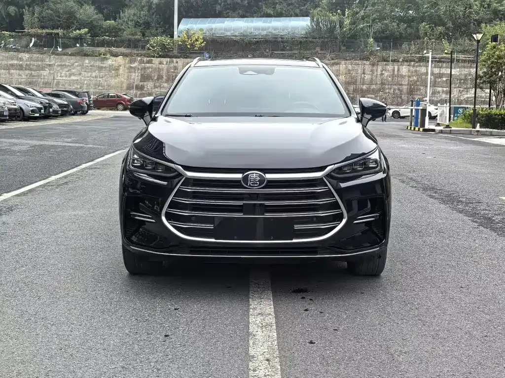 BYD Tang New Energy 2021 из CN, фото 2