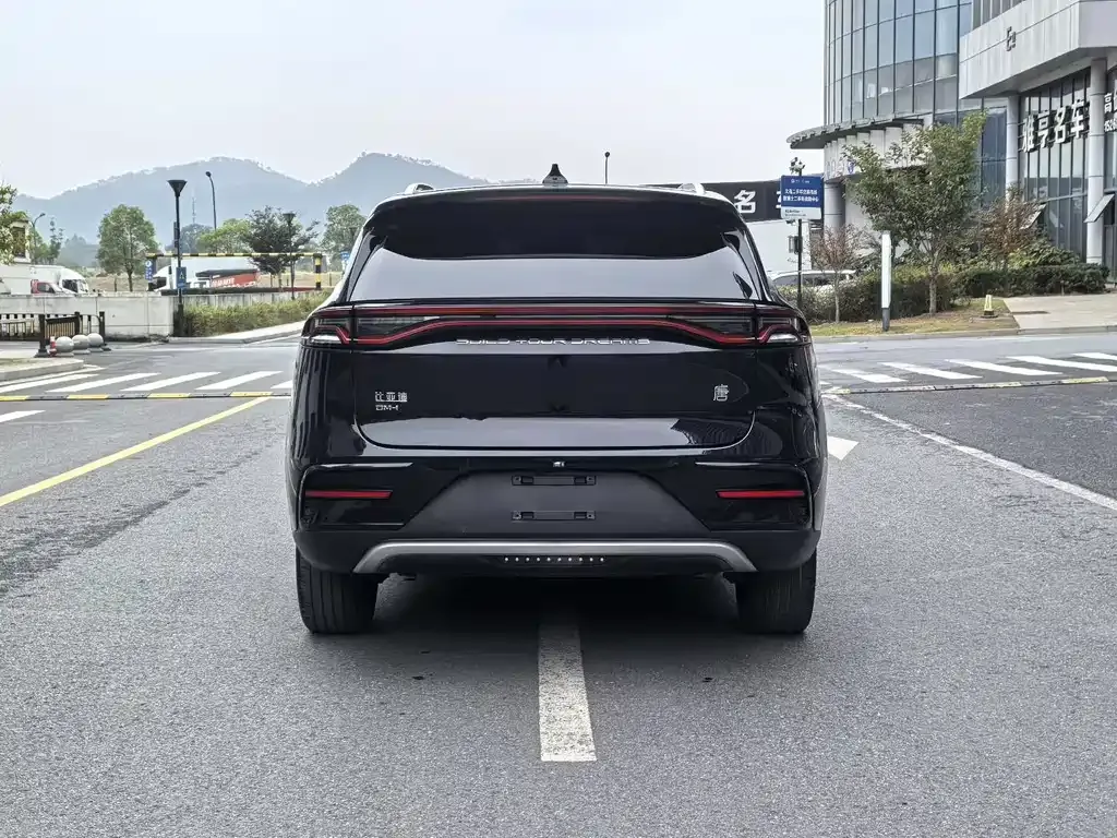 BYD Tang New Energy 2021 из CN, фото 4