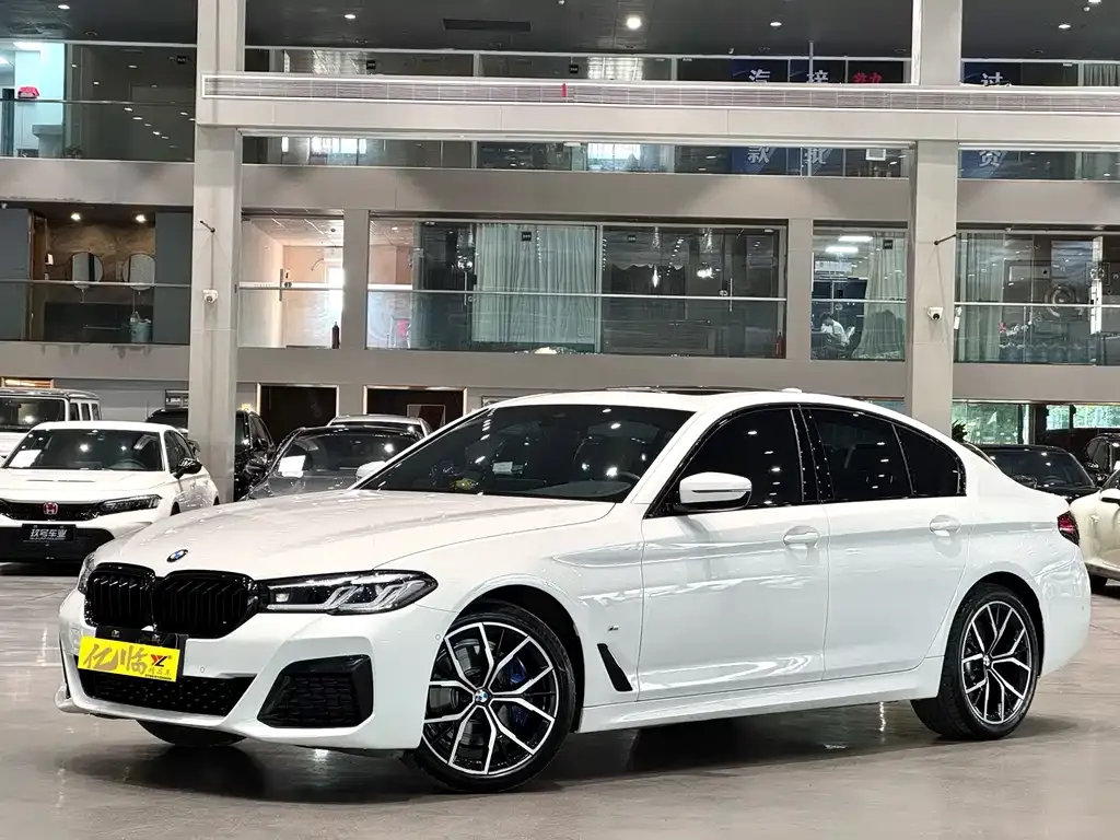 BMW 5 Series (Import) 2021 из CN, фото 1