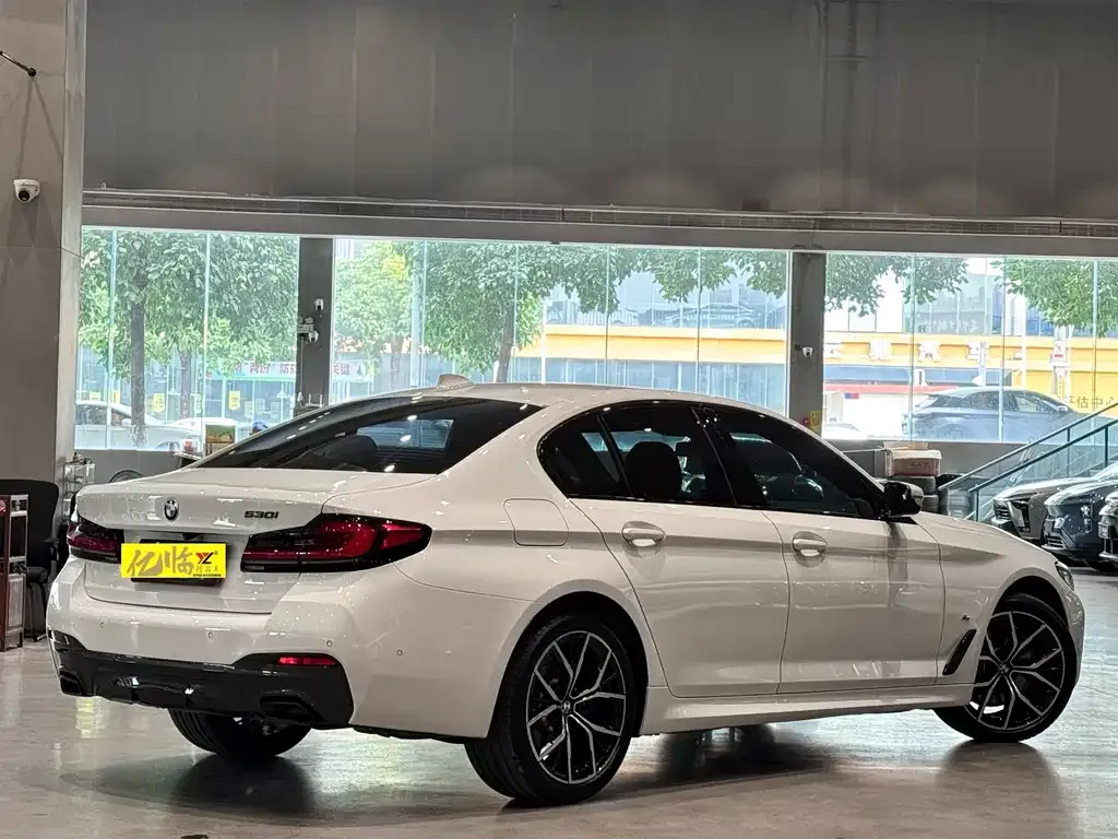 BMW 5 Series (Import) 2021 из CN, фото 10