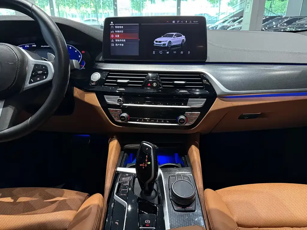 BMW 5 Series (Import) 2021 из CN, фото 3