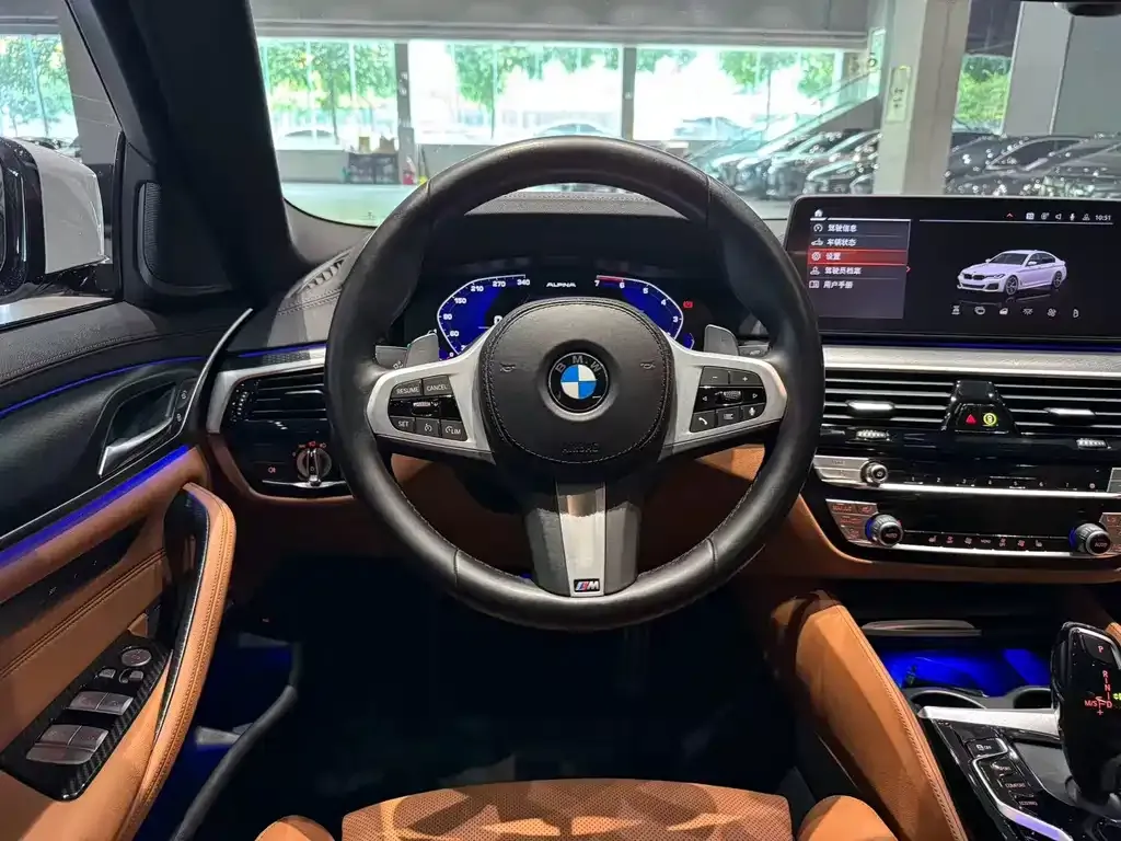 BMW 5 Series (Import) 2021 из CN, фото 6