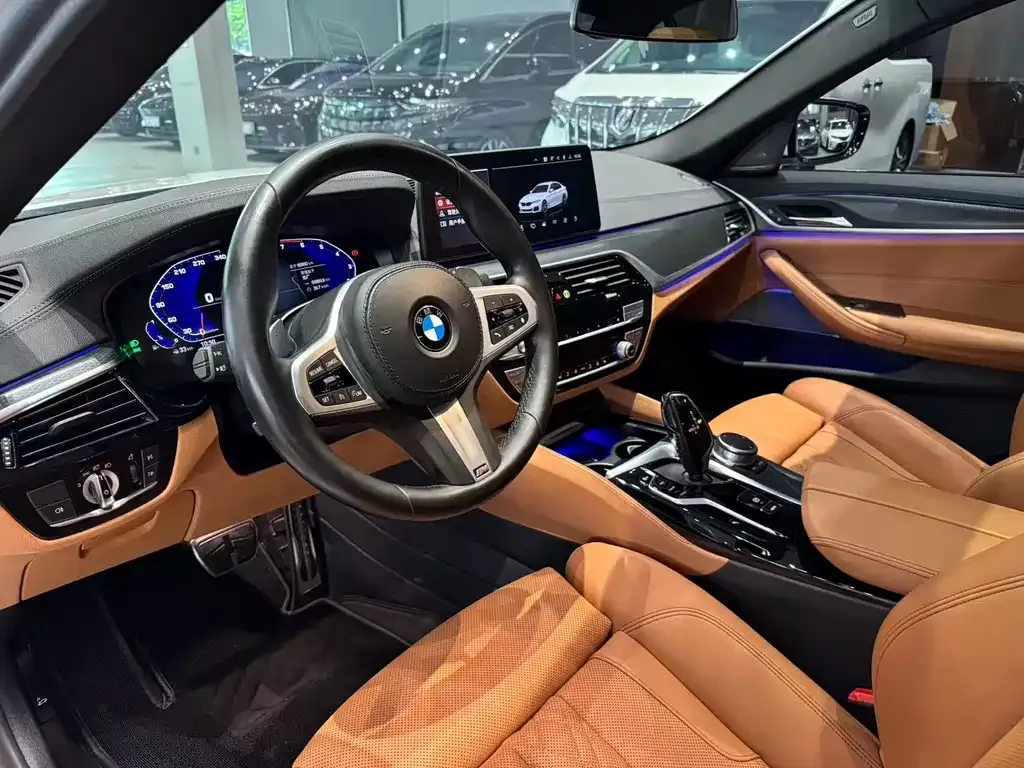 BMW 5 Series (Import) 2021 из CN, фото 7