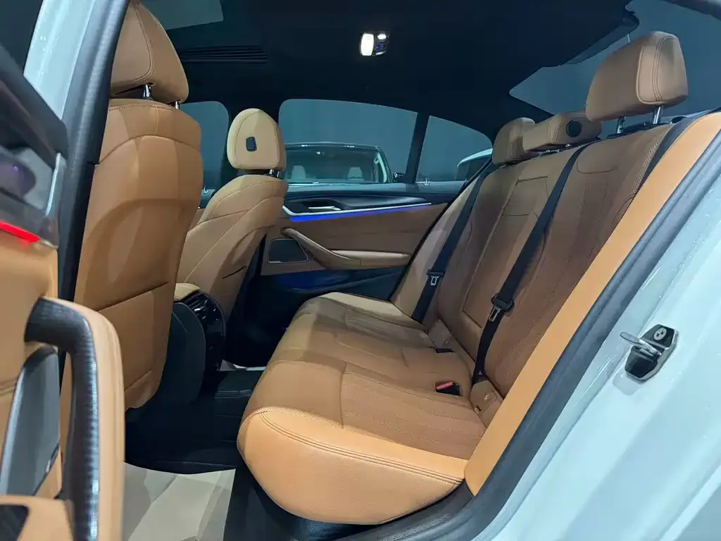 BMW 5 Series (Import) 2021 из CN, фото 8