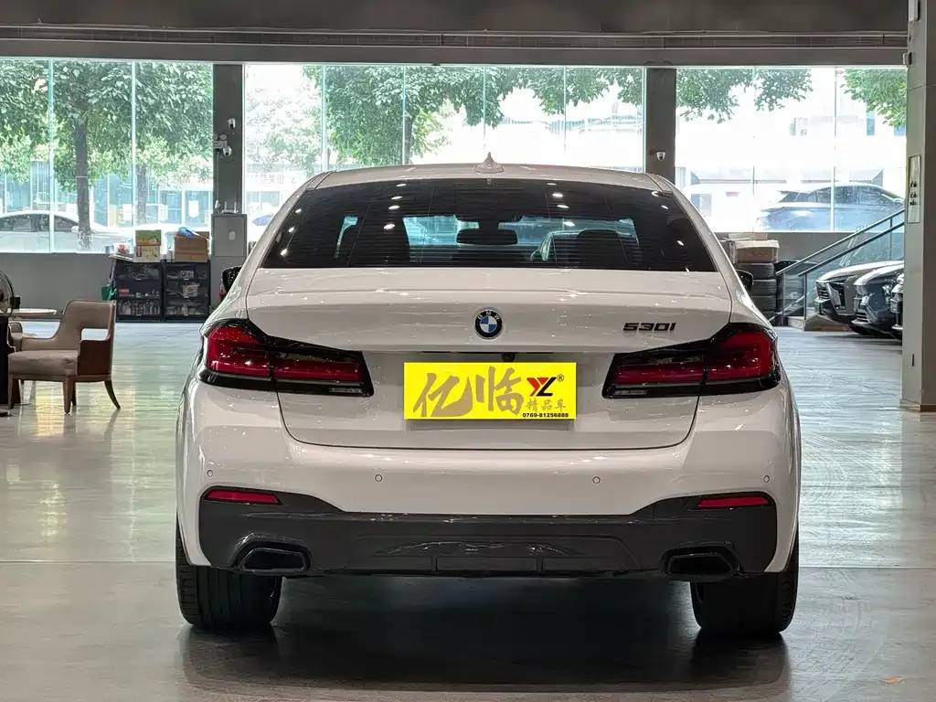 BMW 5 Series (Import) 2021 из CN, фото 9