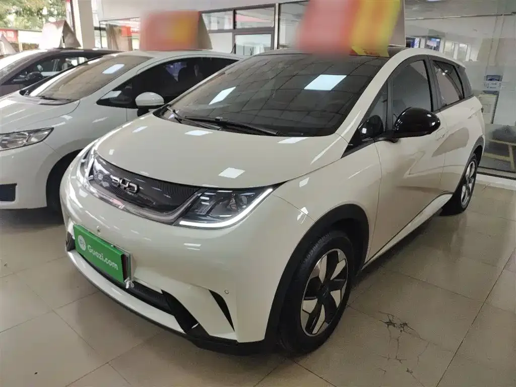 BYD Dolphin 2024 из CN, фото 2