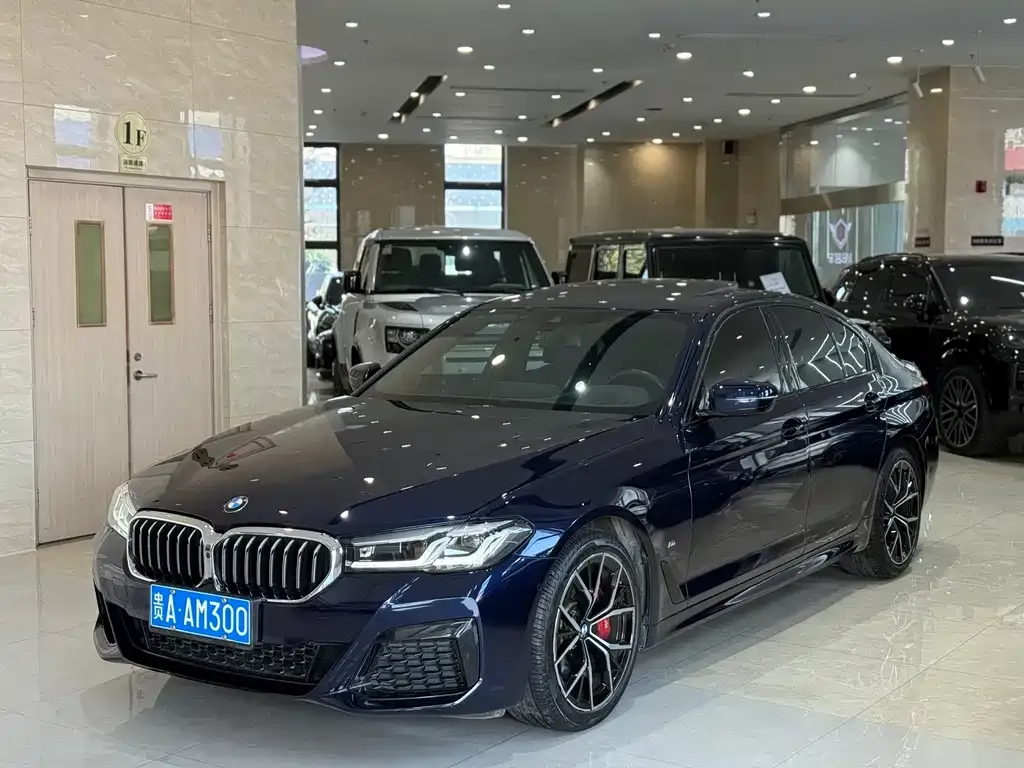 BMW 5 Series (Import) 2021 из CN, фото 1