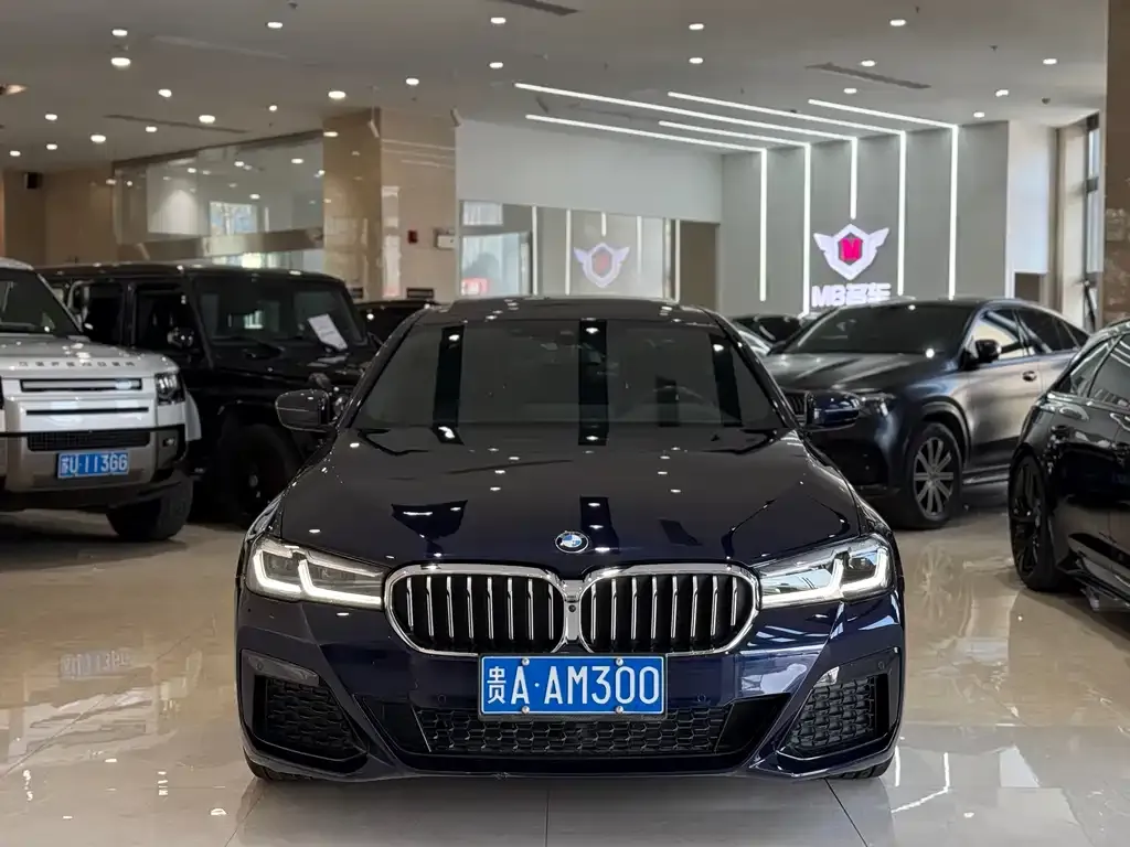 BMW 5 Series (Import) 2021 из CN, фото 2