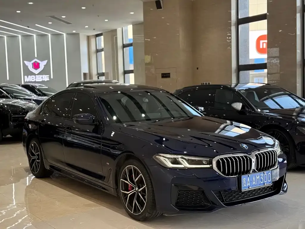 BMW 5 Series (Import) 2021 из CN, фото 3