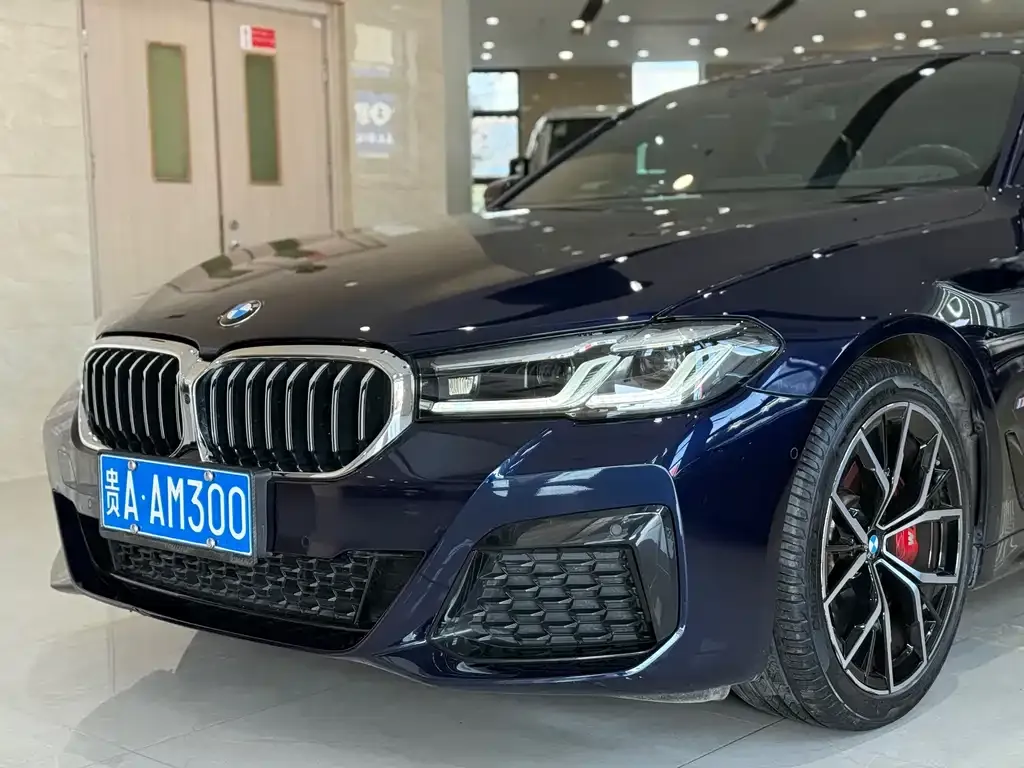 BMW 5 Series (Import) 2021 из CN, фото 4