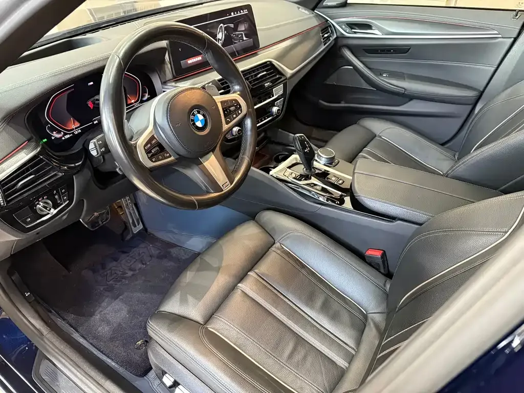 BMW 5 Series (Import) 2021 из CN, фото 5