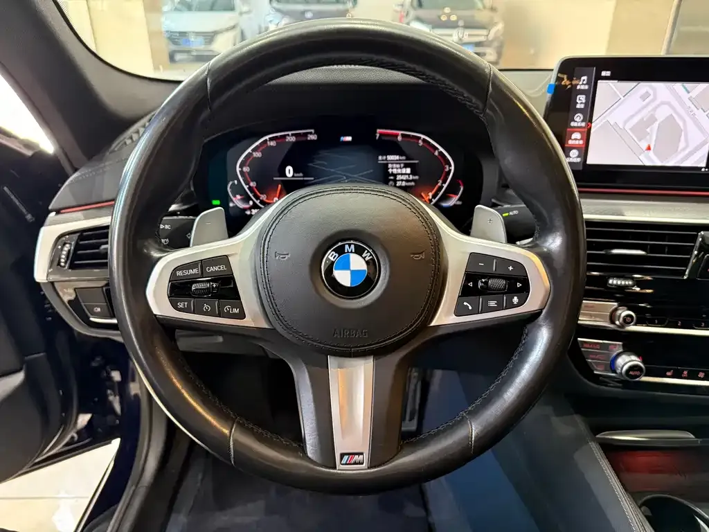 BMW 5 Series (Import) 2021 из CN, фото 9