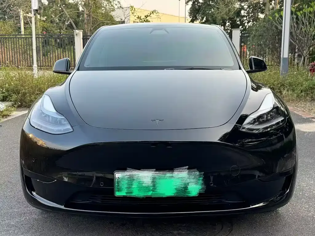 Tesla Model Y 2022 из CN, фото 2