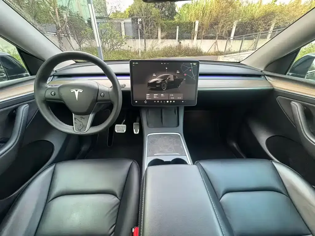 Tesla Model Y 2022 из CN, фото 4