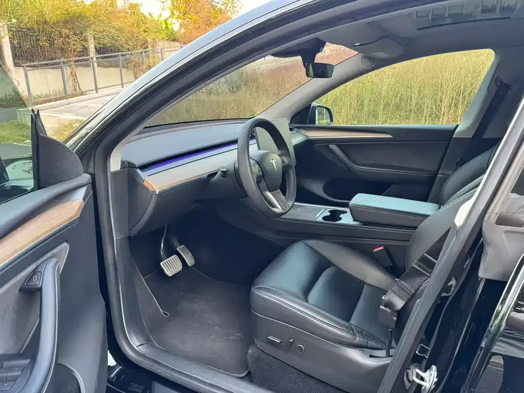 Tesla Model Y 2022 из CN, фото 5