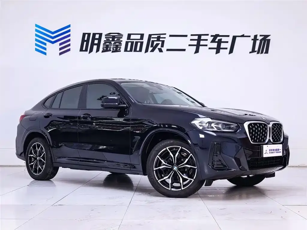 BMW X4 2023 из CN, фото 5