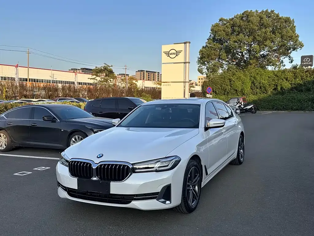 BMW 5 Series 2023 из CN, фото 1