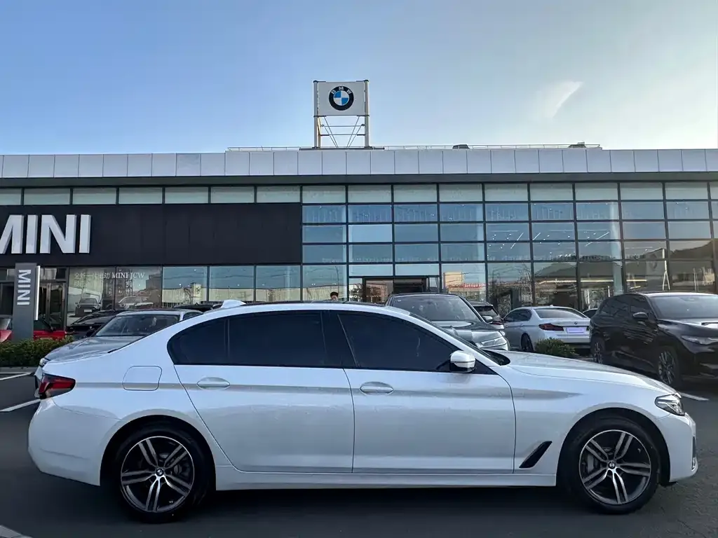 BMW 5 Series 2023 из CN, фото 10