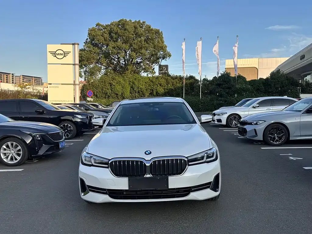 BMW 5 Series 2023 из CN, фото 4