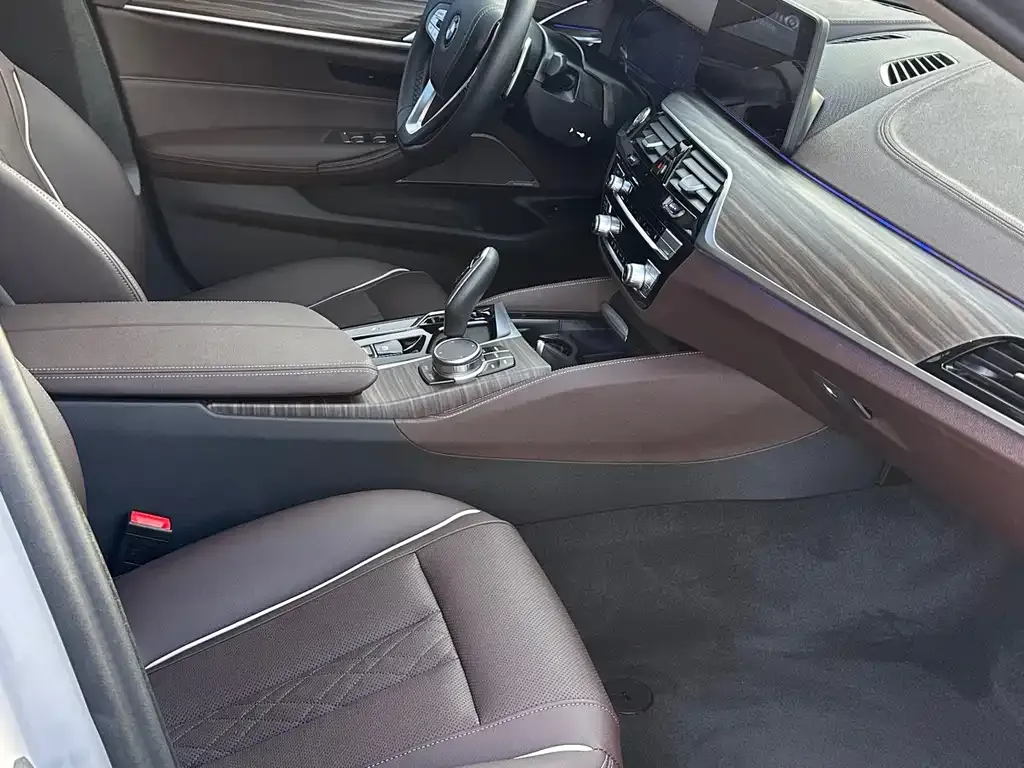 BMW 5 Series 2023 из CN, фото 6