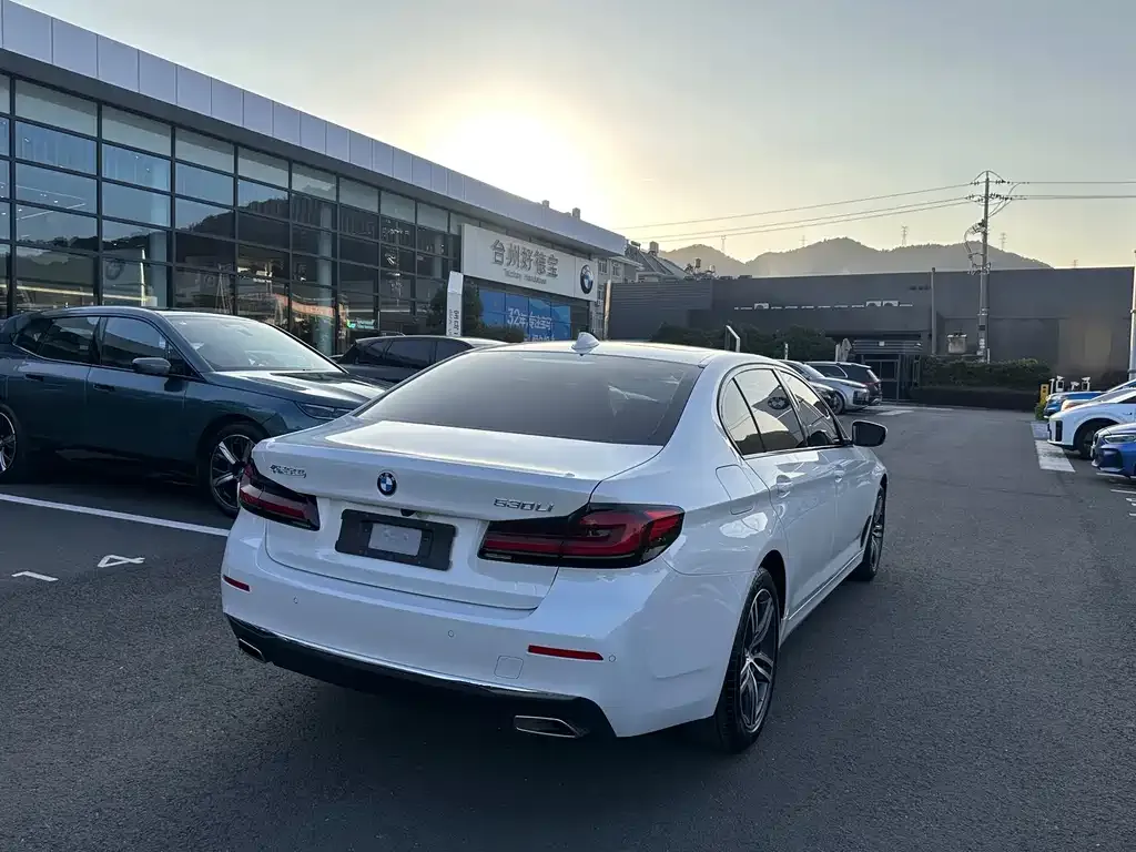 BMW 5 Series 2023 из CN, фото 8
