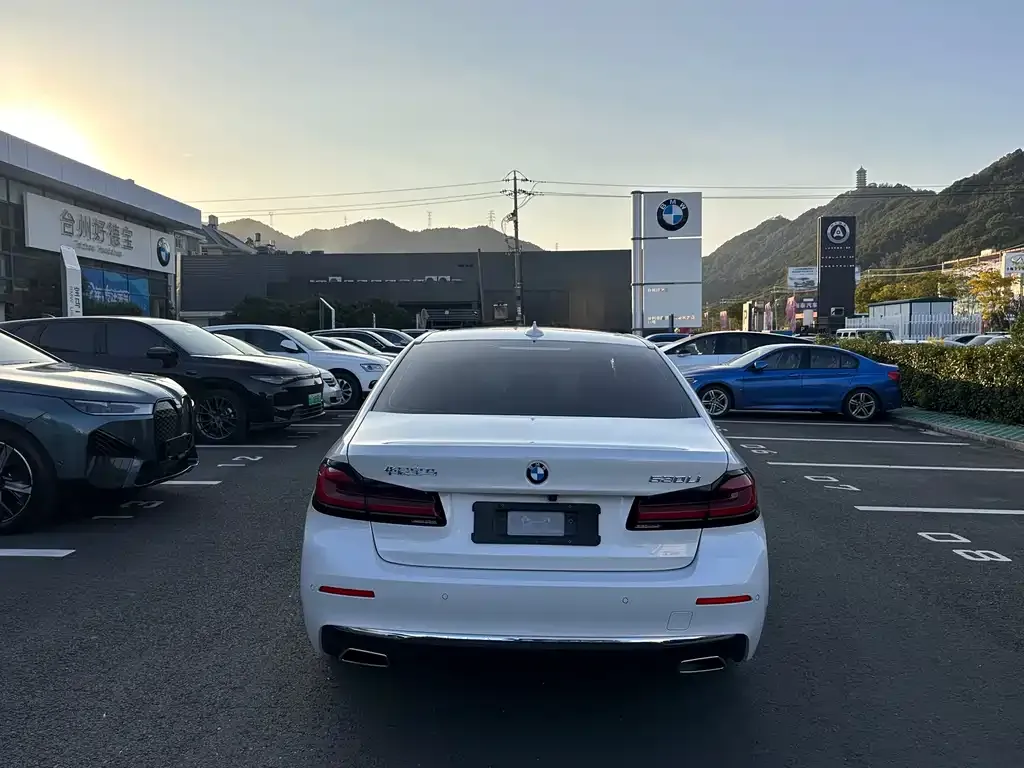 BMW 5 Series 2023 из CN, фото 9