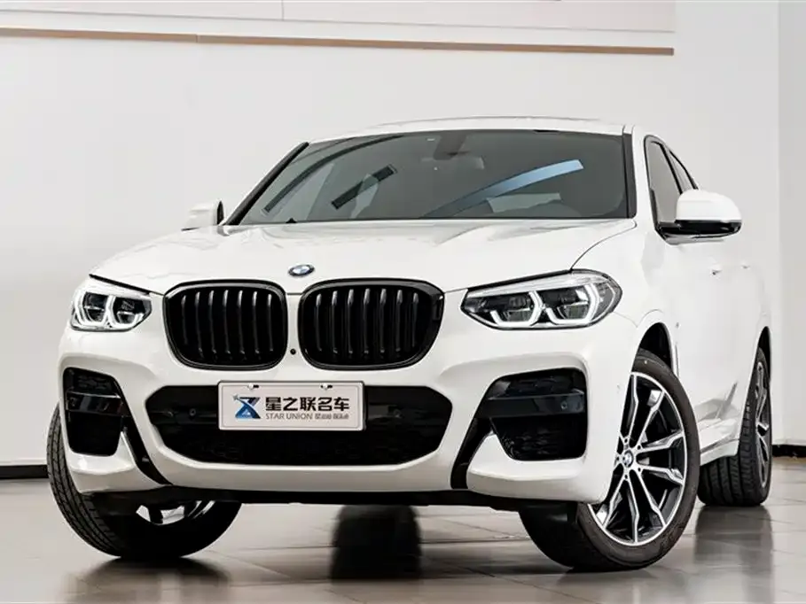 BMW X4 2021 из CN, фото 2
