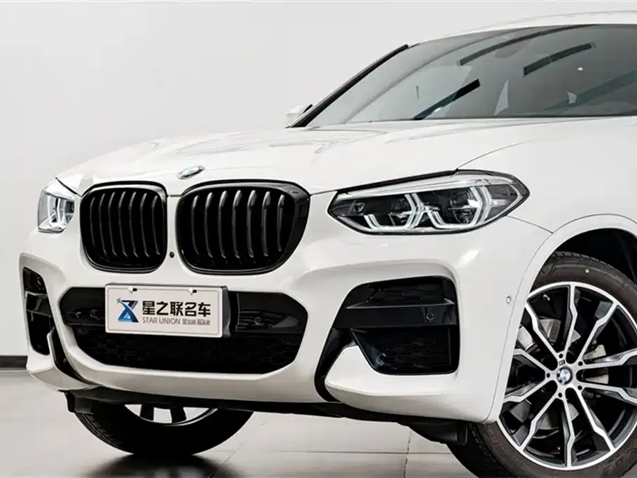 BMW X4 2021 из CN, фото 3