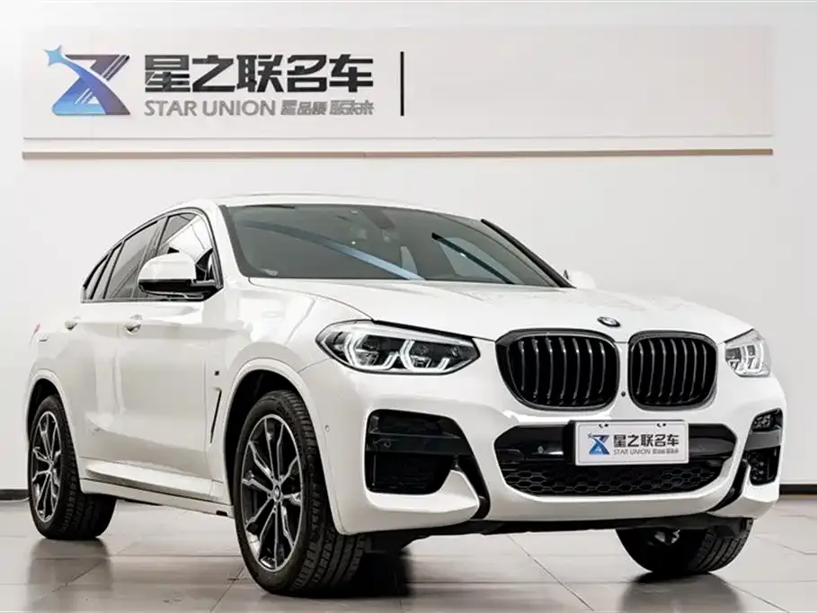 BMW X4 2021 из CN, фото 5