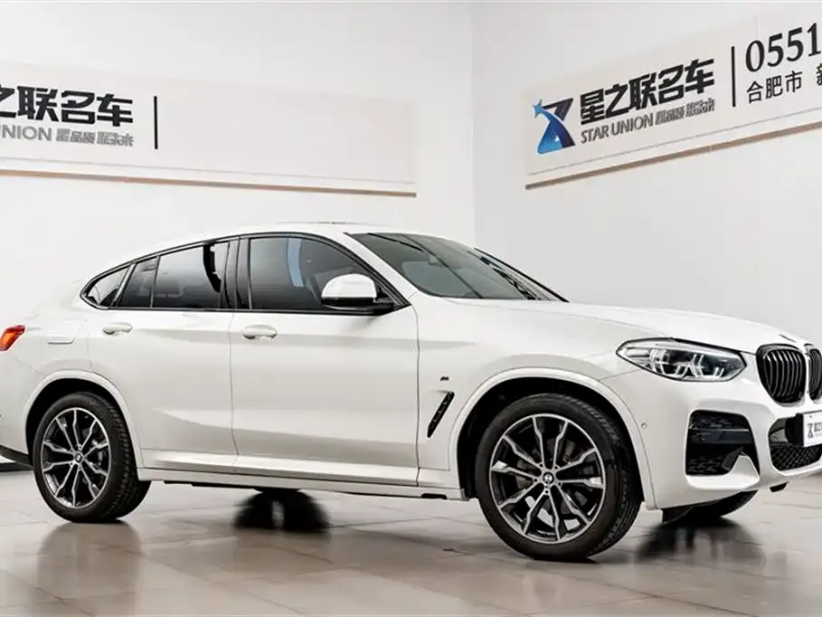 BMW X4 2021 из CN, фото 6