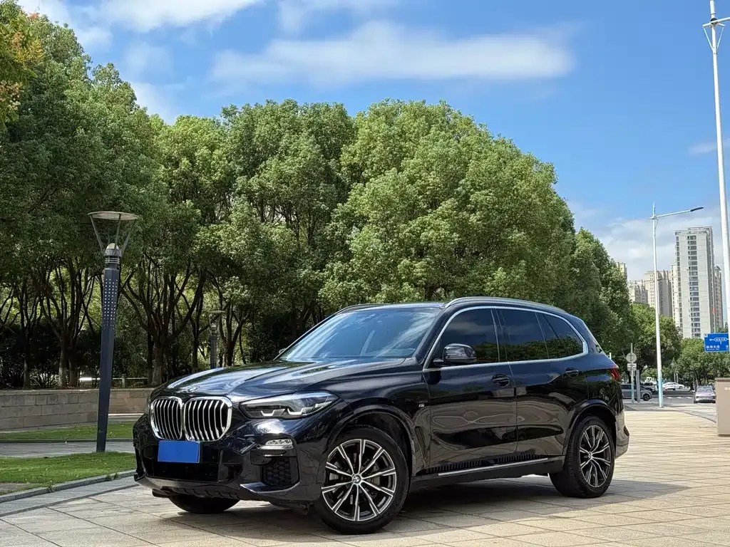 BMW X5 (Import) 2021 из CN, фото 1