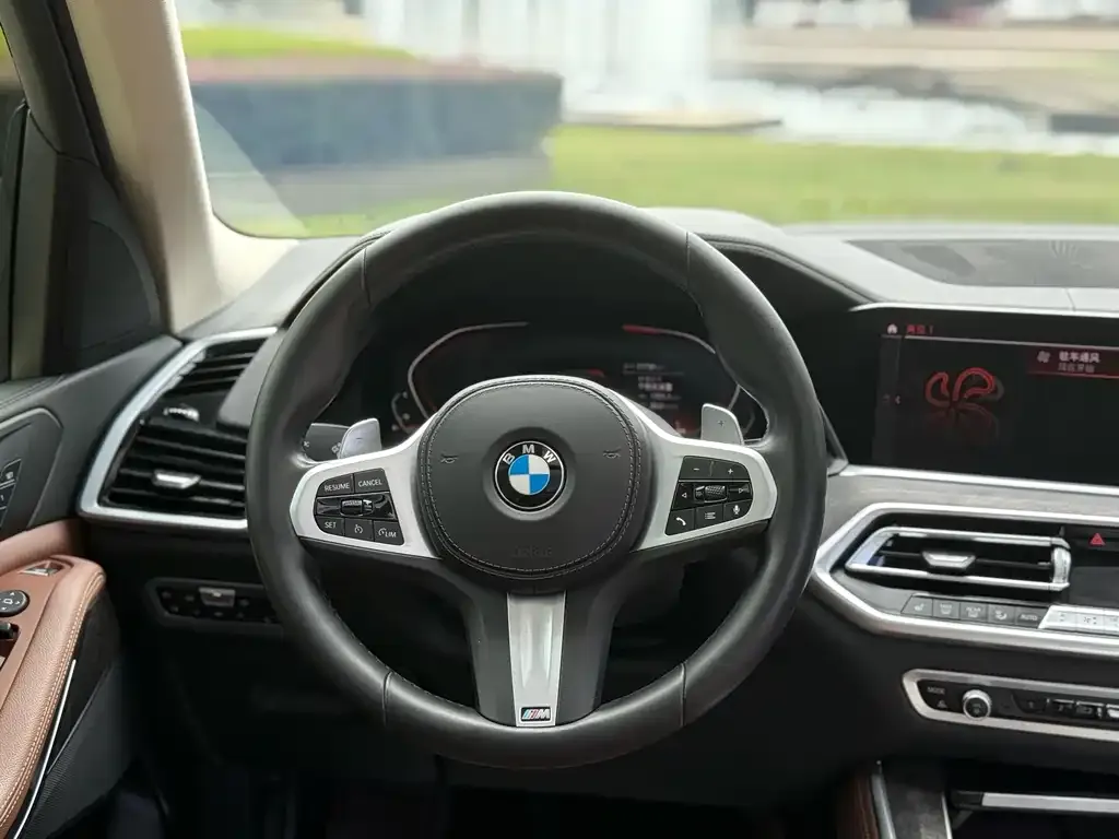 BMW X5 (Import) 2021 из CN, фото 9