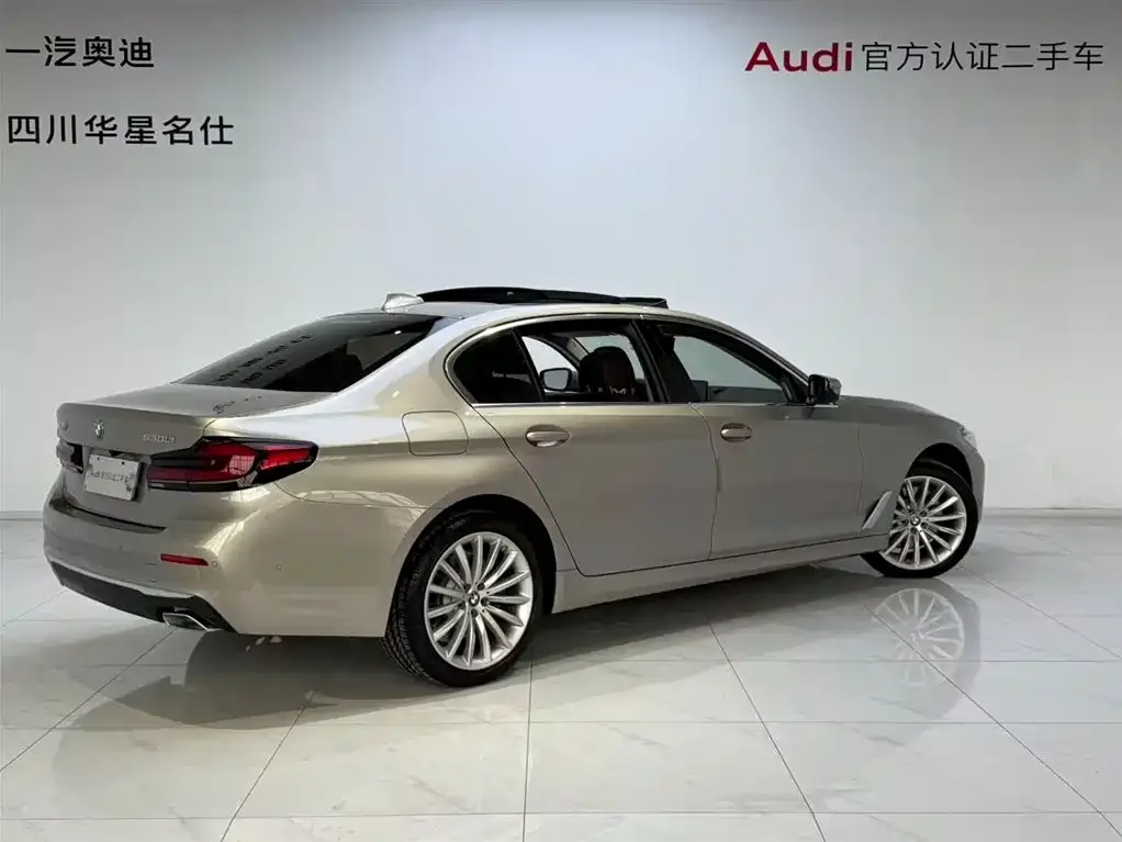 BMW 5 Series 2024 из CN, фото 4