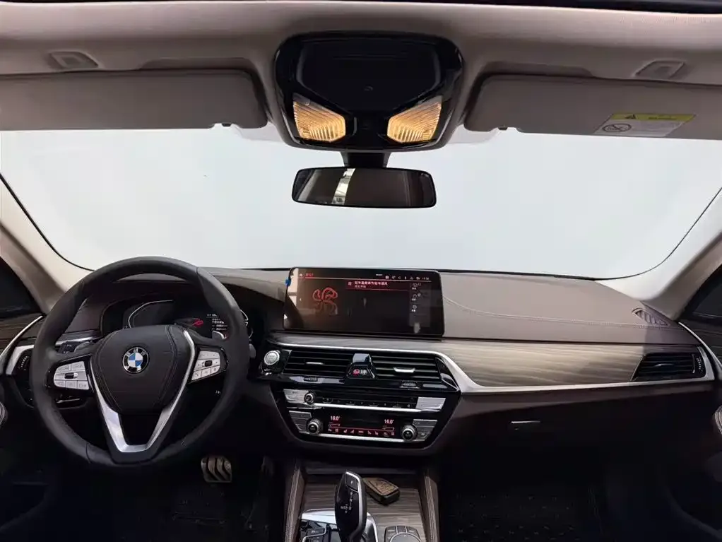 BMW 5 Series 2024 из CN, фото 6