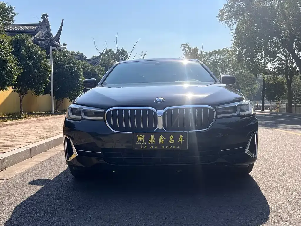 BMW 5 Series 2023 из CN, фото 2