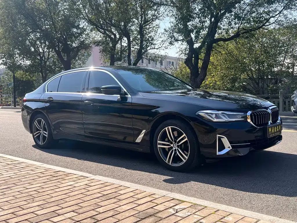 BMW 5 Series 2023 из CN, фото 3