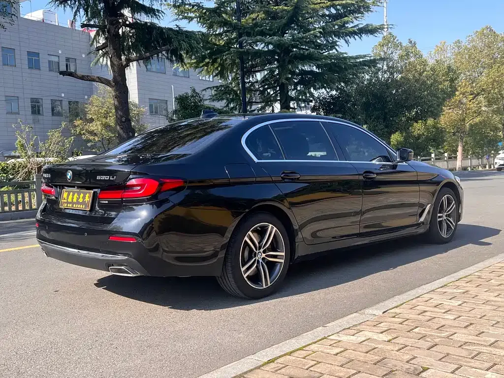 BMW 5 Series 2023 из CN, фото 5