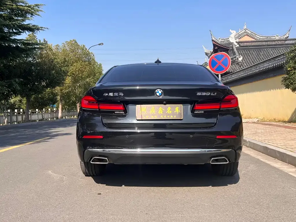 BMW 5 Series 2023 из CN, фото 6